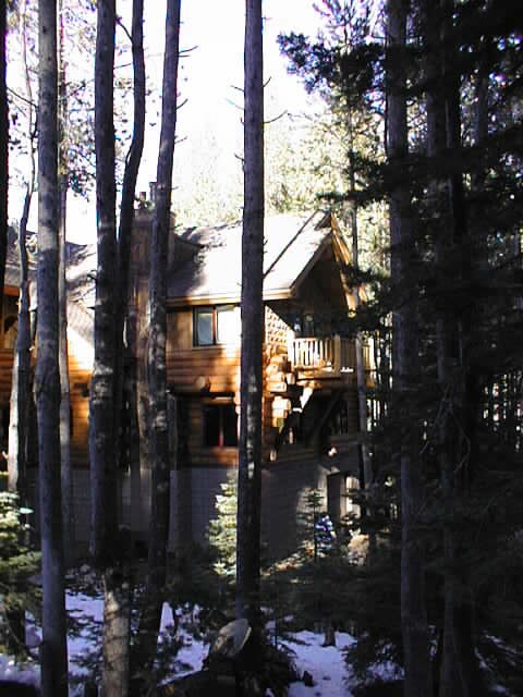Side view of the wooden log house with metal roofing